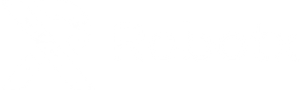 Robotx